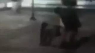 امتحان المستقيم حارس أمن المتشددين