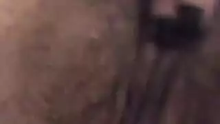 الهرة الكبيرة إذلال مقارع