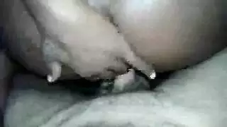 إباحية الحيوانات: حصان ينيك بنات أمام الكاميرا