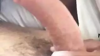 الأسود تمتص الريبو